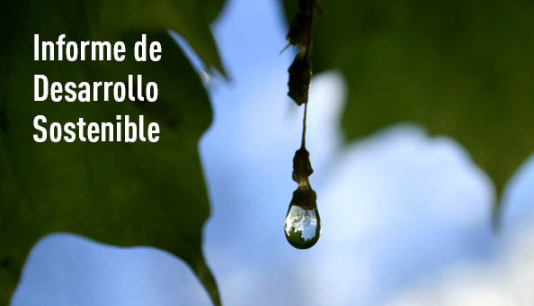 Acceder al Informe de Desarrollo Sostenible, se abre en una ventana nueva.